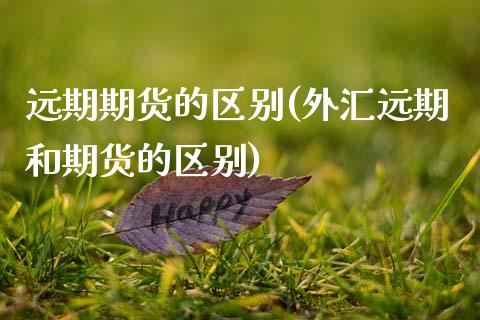 远期期货的区别(外汇远期和期货的区别)_https://www.hbaoqiang.com_原油期货_第1张