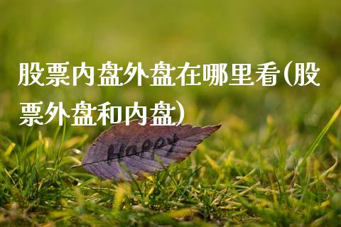 股票内盘外盘在哪里看(股票外盘和内盘)_https://www.hbaoqiang.com_期货开户_第1张