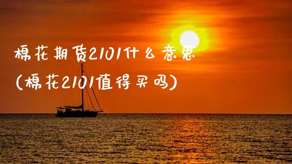 棉花期货2101什么意思(棉花2101值得买吗)_https://www.hbaoqiang.com_德指期货_第1张