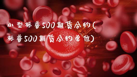 小型标普500期货合约(标普500期货合约单位)_https://www.hbaoqiang.com_内盘期货_第1张