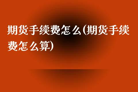 期货手续费怎么(期货手续费怎么算)_https://www.hbaoqiang.com_期货学习_第1张