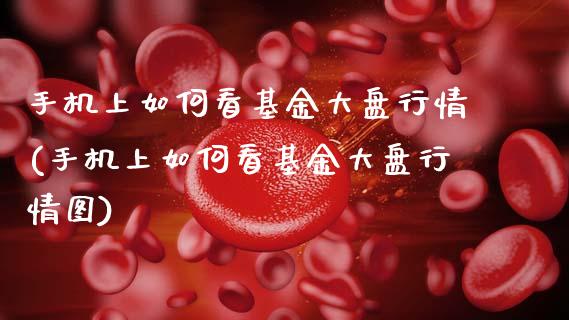 手机上如何看基金大盘行情(手机上如何看基金大盘行情图)_https://www.hbaoqiang.com_黄金期货_第1张