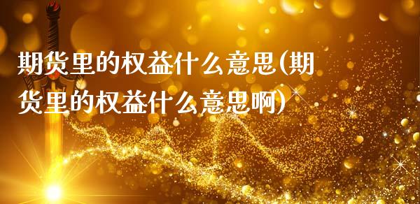 期货里的权益什么意思(期货里的权益什么意思啊)_https://www.hbaoqiang.com_国际期货_第1张