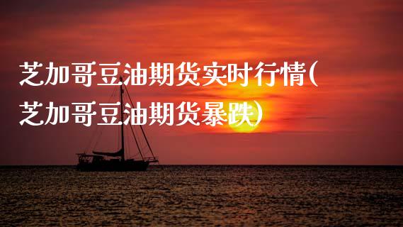 芝加哥豆油期货实时行情(芝加哥豆油期货暴跌)_https://www.hbaoqiang.com_期货故事_第1张
