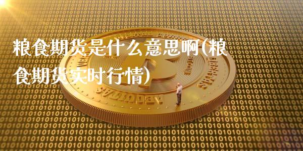 粮食期货是什么意思啊(粮食期货实时行情)_https://www.hbaoqiang.com_内盘期货_第1张