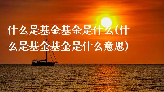 什么是基金基金是什么(什么是基金基金是什么意思)_https://www.hbaoqiang.com_道指期货_第1张