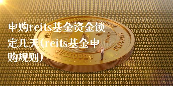 申购reits基金资金锁定几天(reits基金申购规则)_https://www.hbaoqiang.com_期货开户_第1张