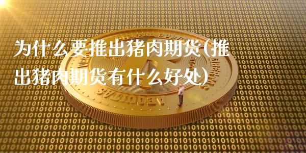 为什么要推出猪肉期货(推出猪肉期货有什么好处)_https://www.hbaoqiang.com_纳指期货_第1张