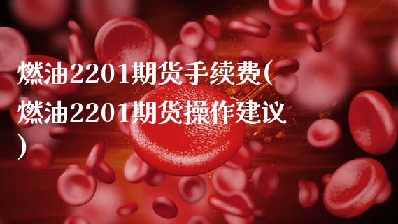 燃油2201期货手续费(燃油2201期货操作建议)_https://www.hbaoqiang.com_恒指期货_第1张