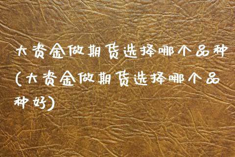 大资金做期货选择哪个品种(大资金做期货选择哪个品种好)_https://www.hbaoqiang.com_理财百科_第1张