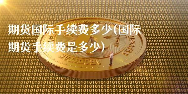 期货国际手续费多少(国际期货手续费是多少)_https://www.hbaoqiang.com_股指期货_第1张