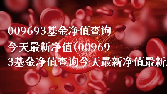 009693基金净值查询今天最新净值(009693基金净值查询今天最新净值最新股价)_https://www.hbaoqiang.com_期货直播_第1张