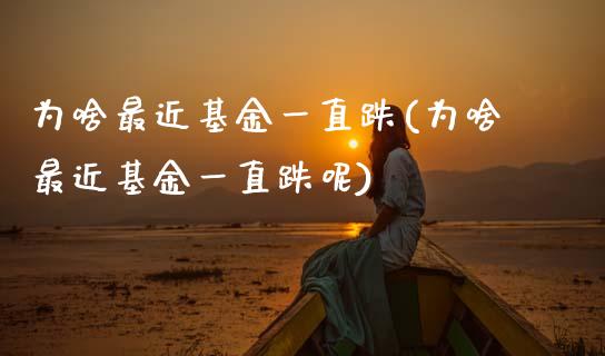 为啥最近基金一直跌(为啥最近基金一直跌呢)_https://www.hbaoqiang.com_股指期货_第1张