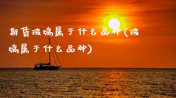 期货玻璃属于什么品种(玻璃属于什么品种)_https://www.hbaoqiang.com_国际期货_第1张