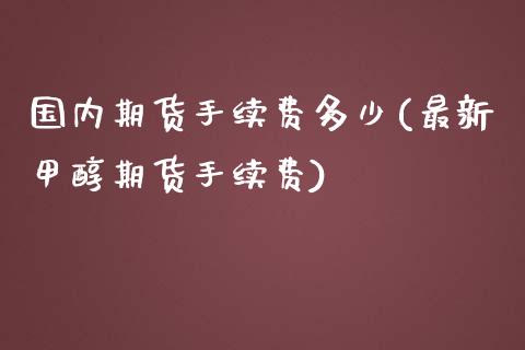 国内期货手续费多少(最新甲醇期货手续费)_https://www.hbaoqiang.com_道指期货_第1张