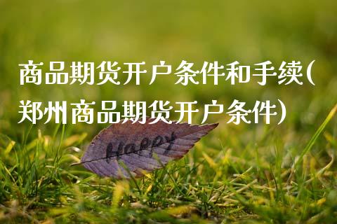 商品期货开户条件和手续(郑州商品期货开户条件)_https://www.hbaoqiang.com_理财百科_第1张