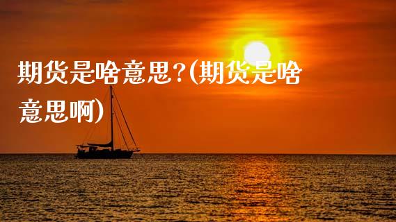 期货是啥意思?(期货是啥意思啊)_https://www.hbaoqiang.com_德指期货_第1张