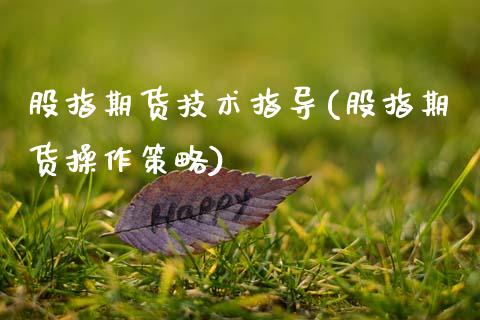 股指期货技术指导(股指期货操作策略)_https://www.hbaoqiang.com_德指期货_第1张