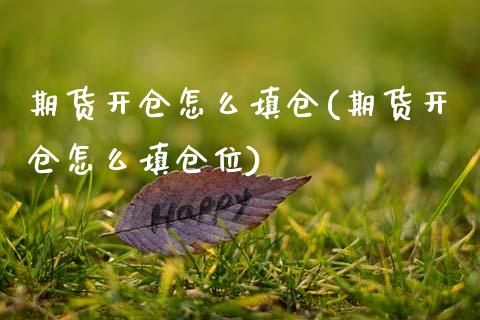 期货开仓怎么填仓(期货开仓怎么填仓位)_https://www.hbaoqiang.com_期货入门_第1张
