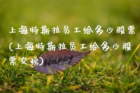 上海特斯拉工给多少股票(上海特斯拉工给多少股票交税)_https://www.hbaoqiang.com_期货软件_第1张