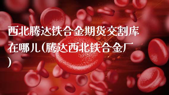 西北腾达铁合金期货交割库在哪儿(腾达西北铁合金厂)_https://www.hbaoqiang.com_期货软件_第1张