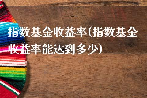 指数基金收益率(指数基金收益率能达到多少)_https://www.hbaoqiang.com_期货平台_第1张