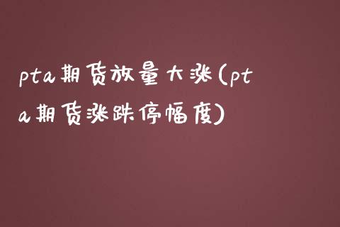pta期货放量大涨(pta期货涨跌停幅度)_https://www.hbaoqiang.com_理财百科_第1张