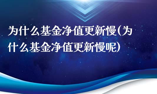 为什么基金净值更新慢(为什么基金净值更新慢呢)_https://www.hbaoqiang.com_恒指期货_第1张