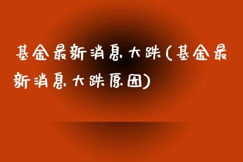 基金最新消息大跌(基金最新消息大跌原因)_https://www.hbaoqiang.com_期货手续费_第1张