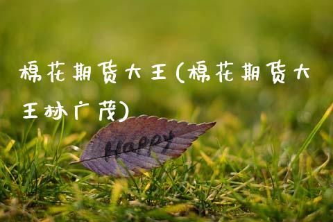 棉花期货大王(棉花期货大王林广茂)_https://www.hbaoqiang.com_期货故事_第1张