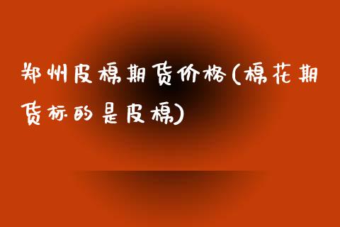 郑州皮棉期货价格(棉花期货标的是皮棉)_https://www.hbaoqiang.com_原油期货_第1张