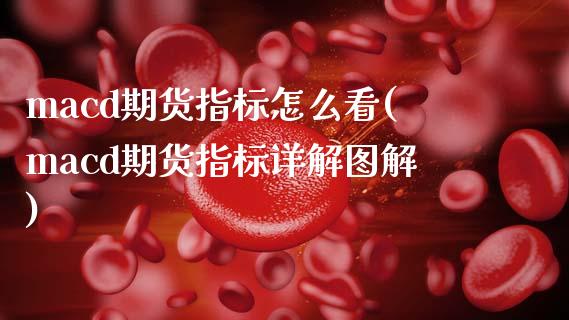 macd期货指标怎么看(macd期货指标详解图解)_https://www.hbaoqiang.com_基金投资_第1张
