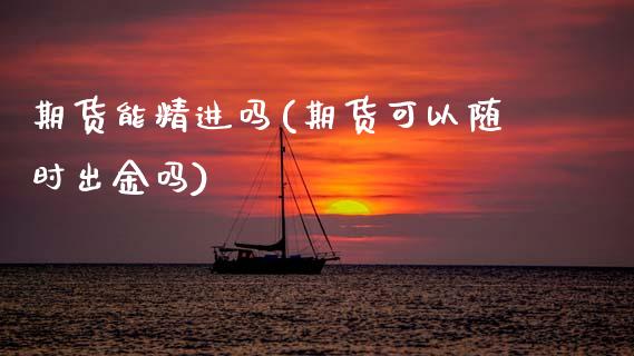 期货能精进吗(期货可以随时出金吗)_https://www.hbaoqiang.com_股指期货_第1张
