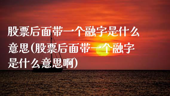 股票后面带一个融字是什么意思(股票后面带一个融字是什么意思啊)_https://www.hbaoqiang.com_原油期货_第1张