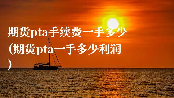 期货pta手续费一手多少(期货pta一手多少利润)_https://www.hbaoqiang.com_恒指期货_第1张