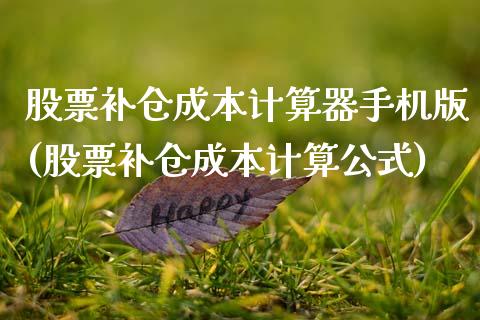 股票补仓成本计算器手机版(股票补仓成本计算公式)_https://www.hbaoqiang.com_原油期货_第1张