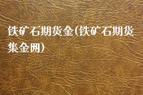 铁矿石期货金(铁矿石期货集金网)_https://www.hbaoqiang.com_期货入门_第1张
