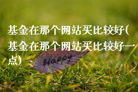 基金在那个网站买比较好(基金在那个网站买比较好一点)_https://www.hbaoqiang.com_期货行情_第1张