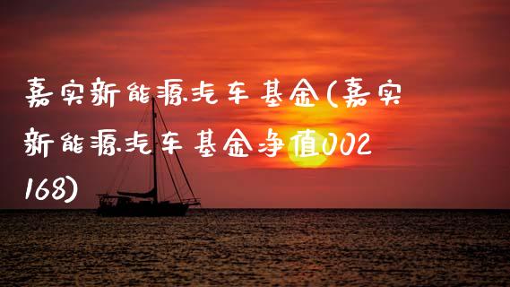 嘉实新能源汽车基金(嘉实新能源汽车基金净值002168)_https://www.hbaoqiang.com_期货行情_第1张