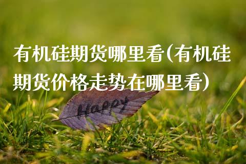有机硅期货哪里看(有机硅期货价格走势在哪里看)_https://www.hbaoqiang.com_理财百科_第1张