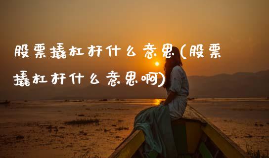 股票撬杠杆什么意思(股票撬杠杆什么意思啊)_https://www.hbaoqiang.com_股票推荐_第1张