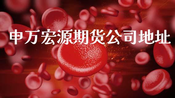 申万宏源期货公司地址_https://www.hbaoqiang.com_期货行情_第1张