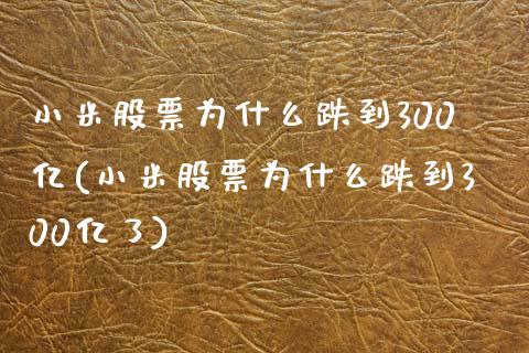 小米股票为什么跌到300亿(小米股票为什么跌到300亿了)_https://www.hbaoqiang.com_期货开户_第1张