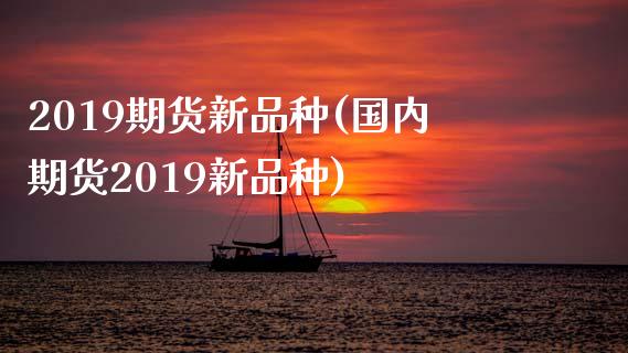 2019期货新品种(国内期货2019新品种)_https://www.hbaoqiang.com_期货学习_第1张