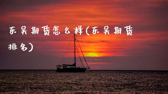 东吴期货怎么样(东吴期货排名)_https://www.hbaoqiang.com_基金投资_第1张