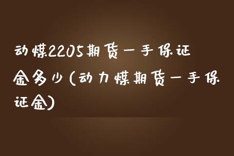 动煤2205期货一手保证金多少(动力煤期货一手保证金)_https://www.hbaoqiang.com_国际期货_第1张