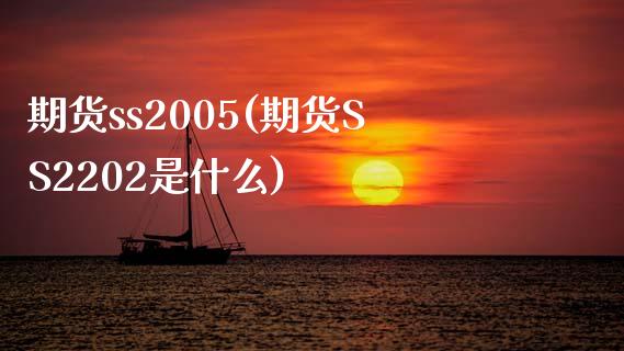 期货ss2005(期货SS2202是什么)_https://www.hbaoqiang.com_期货手续费_第1张