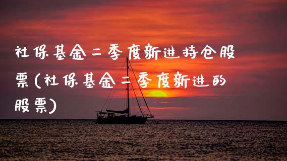 社保基金二季度新进持仓股票(社保基金二季度新进的股票)_https://www.hbaoqiang.com_理财百科_第1张