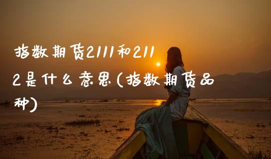 指数期货2111和2112是什么意思(指数期货品种)_https://www.hbaoqiang.com_基金投资_第1张