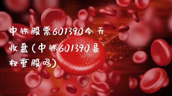 中铁股票601390今天收盘(中铁601390是权重股吗)_https://www.hbaoqiang.com_期货平台_第1张